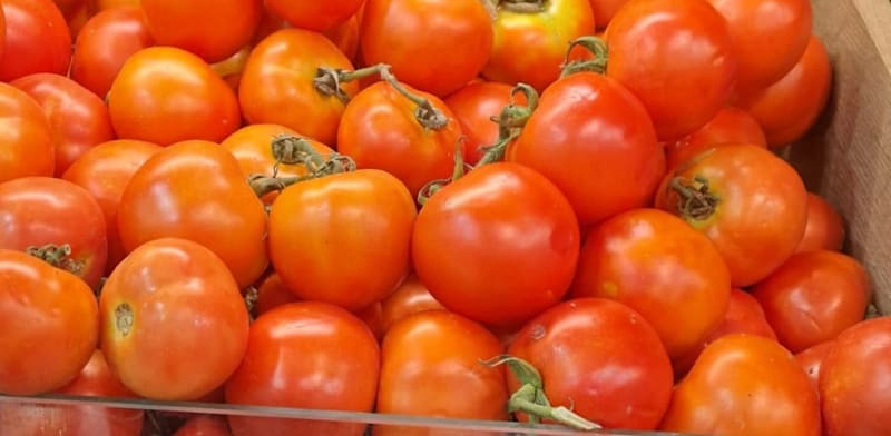 "עגבניות בסופר / צילום: מיכאל שירן"