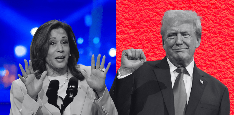 "דונלד טראמפ וקמלה האריס / צילום: AP-Julia Nikhinso, AP - Carolyn Kaster"