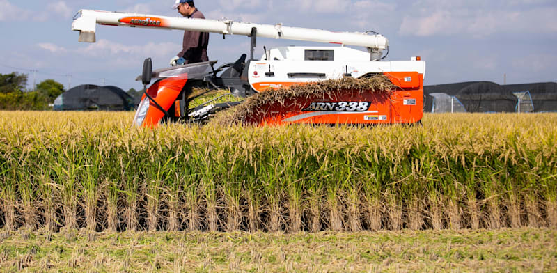 "חקלאי בשדה אורז במחוז ניאיגטה / צילום: Shutterstock"