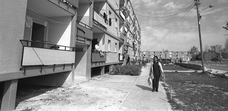 "צילום: משה מילנר-לע''מ / צילום: משה מילנר-לע''מ / צילום: משה מילנר-לע''מ"