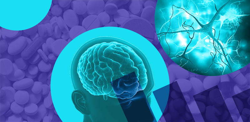 / צילום:  הביומד / עיבוד: טלי בוגדנובסקי, חומרים: שאטרסטוק"