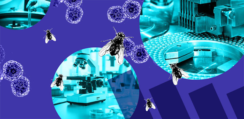 / צילום:  הביומד / עיצוב: טלי בוגדנובסקי"