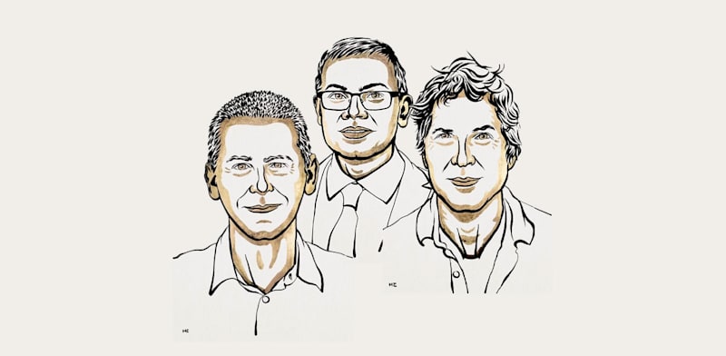 "דיוויד בייקר, דמיס הסביס וג'ון ג'מפר, זוכי פרס נובל בכימיה לשנת 2024 / צילום: Ill. Niklas Elmehed © Nobel Prize Outreach"