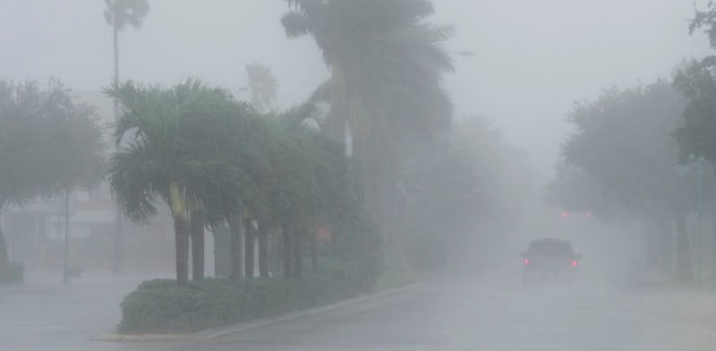 "הוריקן מילטון בפלורידה / צילום: Associated Press, Marta Lavandier"