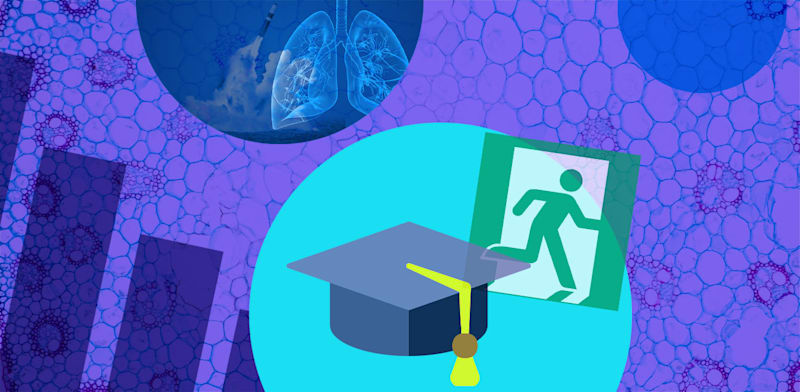 / צילום:  הביומד / צילומים: Shutterstock, ויקיפדיה, עיצוב: טלי בוגדנובסקי"