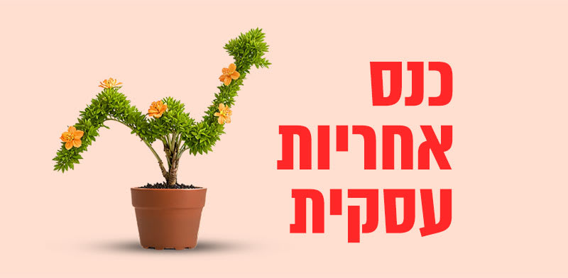 / צילום: 