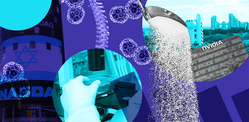 / צילום: ים: איל יצהר, Shutterstock, עיצוב: טלי בוגדנובסקי"