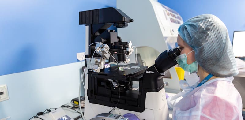 מעבדת הפריה חוץ־גופית בקייב. רוב הביציות בשוק הישראלי הגיעו מאוקראינה, עד המלחמה / צילום: Reuters, Dominika Zarzycka