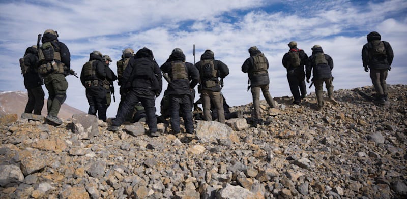 לוחמי שלדג / צילום: דובר צה''ל