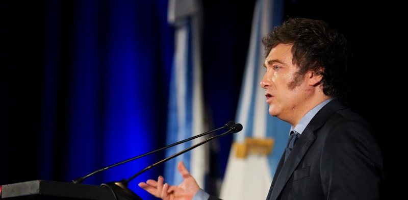 "נשיא ארגנטינה, חאבייר מיליי, מוקדם יותר החודש / צילום: ap, Matilde Campodonico"