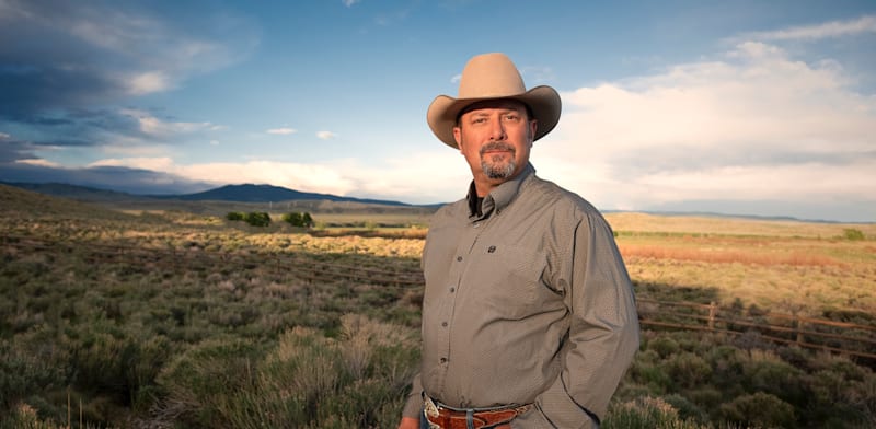 סי. ג'יי בוקס. מכירות הסדרה גדלו עם כל כותר חדש / צילום: Dave Neligh