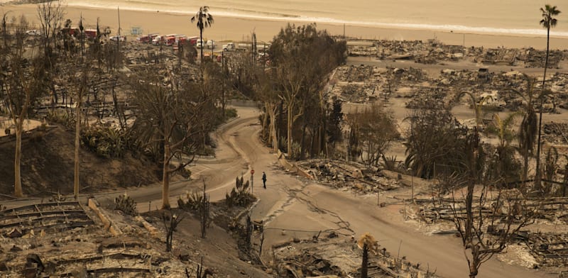 "לוס אנג'לס, לאחר השריפות. טענות שהמדיניות ה''ירוקה'' הגדילה את ההרס / צילום: ap, John Locher"