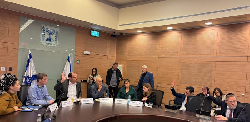 "הדיון בוועדת החוקה, היום / צילום: דוברות הכנסת"