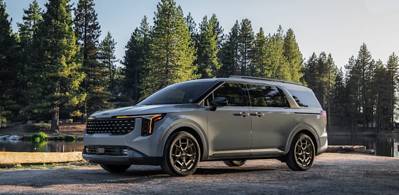 "קיה קרניבל / צילום: יח''צ"