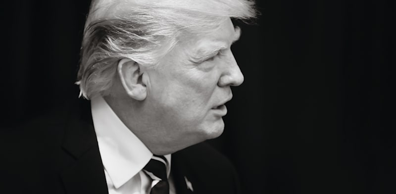 דונלד טראמפ / צילום: Shutterstock