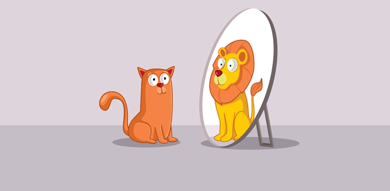 / צילום:  Shutterstock"