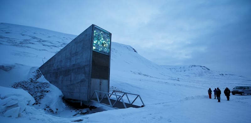 הכניסה לכספת המזון בסבאלברד, הקוטב הצפוני / צילום: Reuters, reuters