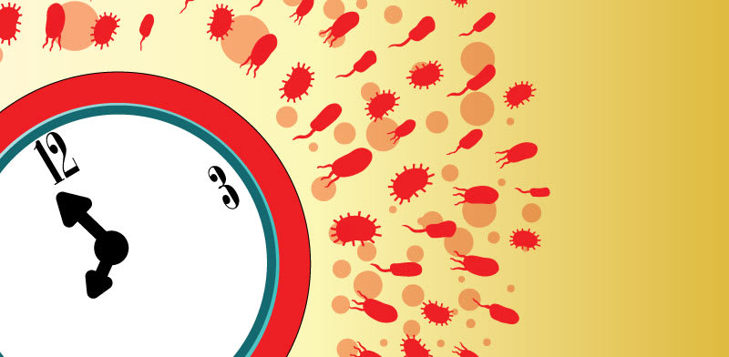 איור: Shutterstock