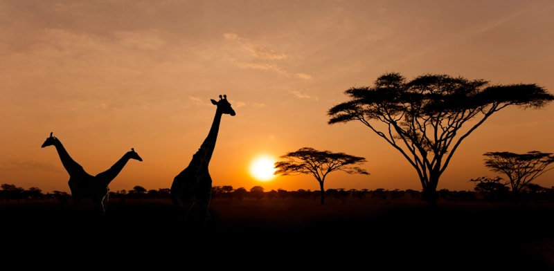 צילום: באדיבות ''עולם אחר''