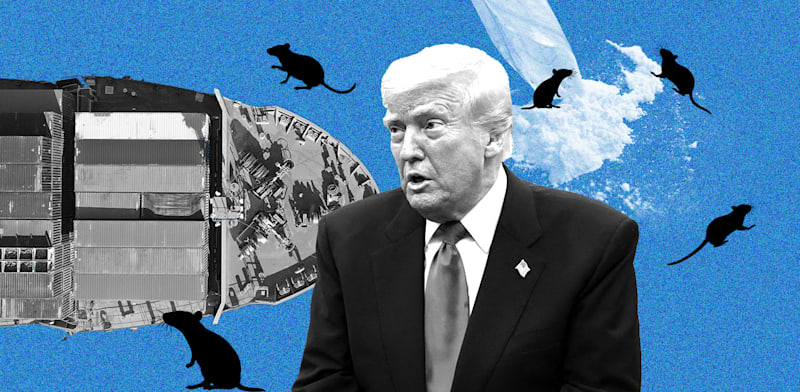 / צילום:  בעולם/ צילומים: רויטרס/Shutterstock, Kevin Mohatt, עיצוב: טלי בוגדנובסקי"