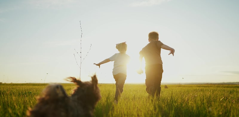 מהו סוד המדינות המאושרות בעולם / צילום: Shutterstock