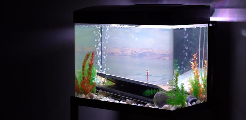 נטע מוזס, ''איך ליהנות מהטבע (צאו החוצה)'', 2021. לוקחת את הלפטופ לחופשה ומטביעה אותו בים / צילום: יובל פסו