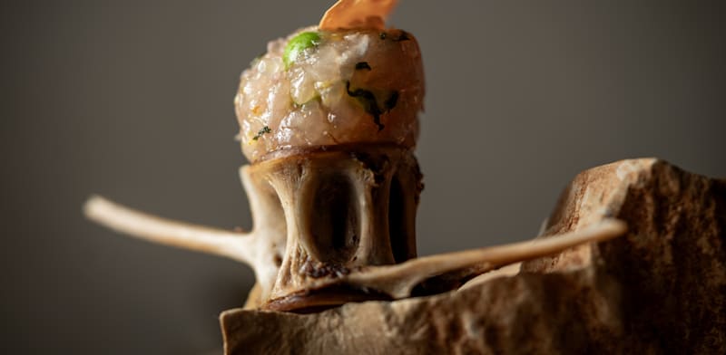 טרטר אינטיאס על העצם / צילום: אסף קרלה