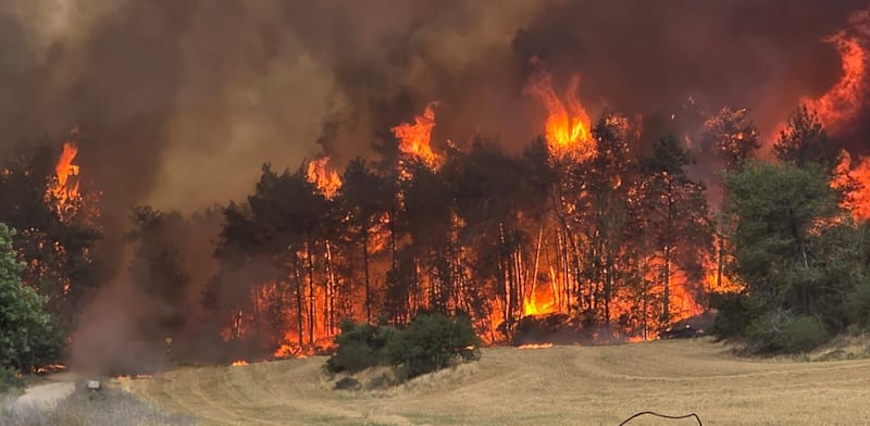 "השריפות בהרי ירושלים / צילום: עובדי ויערני קק״ל"