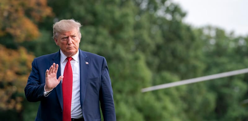 "נשיא ארה''ב דונלד טראמפ / צילום: Shutterstock"