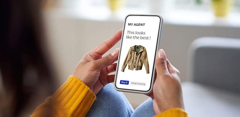 "סוכן ה-AI של ויזה / צילום: באדיבות ויזה"