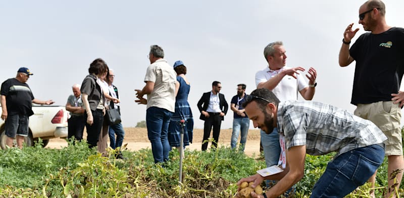 "סיור בהובלת עובדי שטראוס ובליווי חקלאים, עובדים, מנהלים ותושבי האזור, מתפוח האדמה שבשדה, ודרך כל שלבי הייצור של מפעל התפוצ'יפס של שטראוס בשער הנגב / צילום: יוסי כהן"