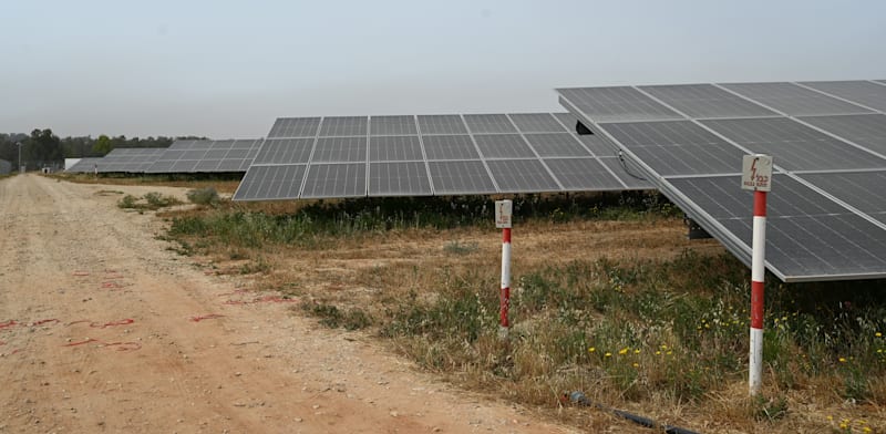 פאנליים סולריים על שטחים חקלאיים / צילום: תמר מצפי