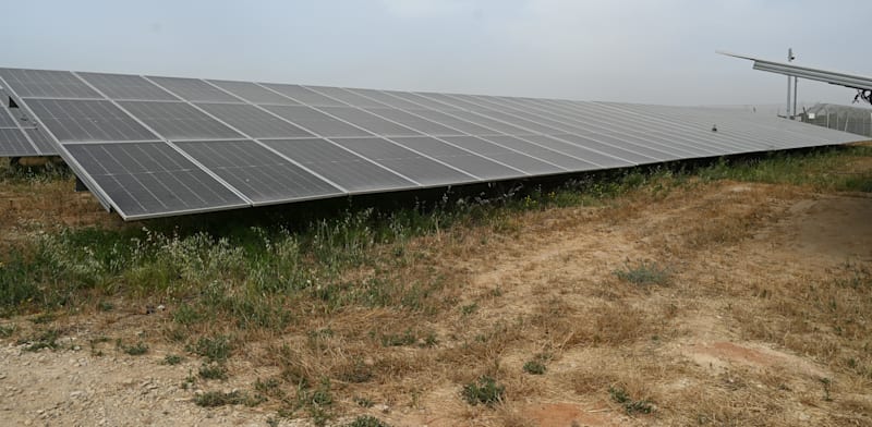 "שדות סולאריים של חברת דוראל / צילום: תמר מצפי"