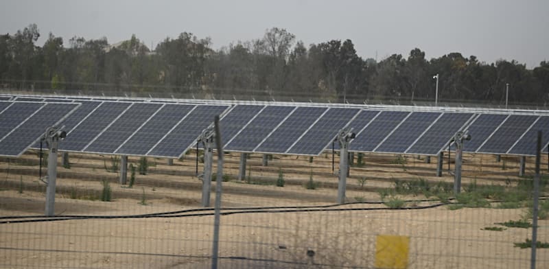 "השדות הסולאריים של חברת דוראל / צילום: תמר מצפי"
