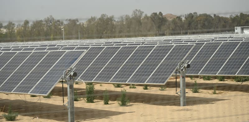 "השדות הסולאריים של חברת דוראל / צילום: תמר מצפי"