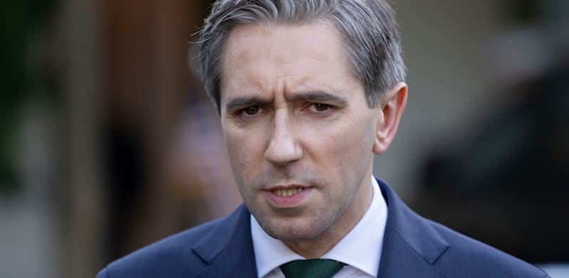 "שר החוץ האירי, סיימון האריס / צילום: ap, Ben Curtis"