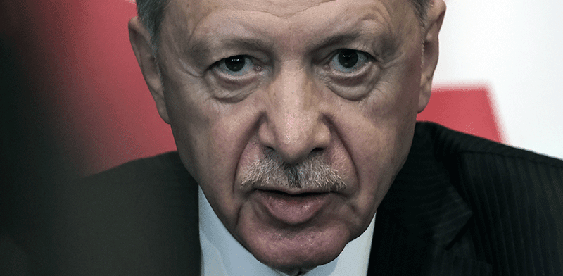 רג'פ טאייפ ארדואן / צילום: ap, Vlasov Sulaj