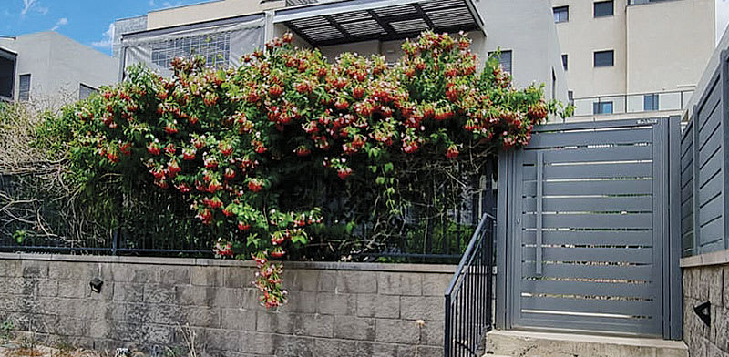 "הקוטג' בשכונת יובלים א' / צילום: עינת ורדי"