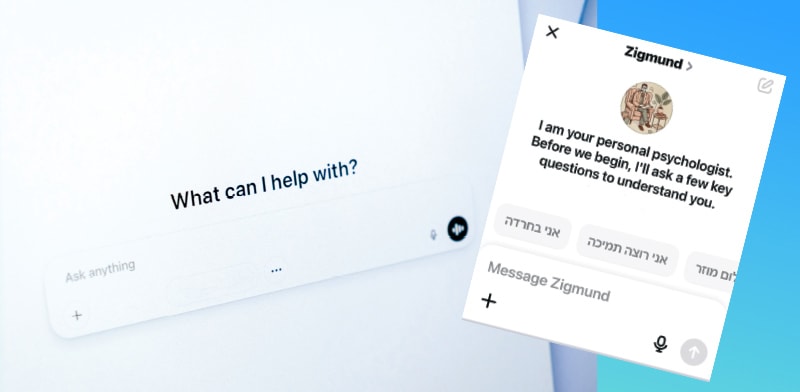 "תמיכה מלאכותית / צילום: צילום מסך האפליקציה"