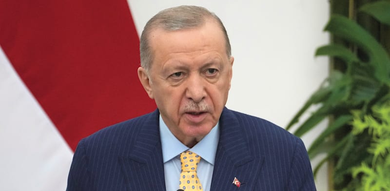 "נשיא טורקיה, רג'פ טאייפ ארדואן / צילום: ap, Achmad Ibrahim"