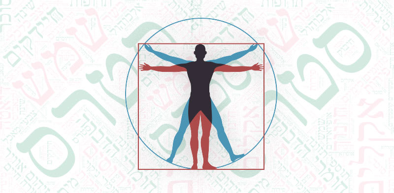 "חזית המדע. מיפוי האקספוזום / צילום: Shutterstock"