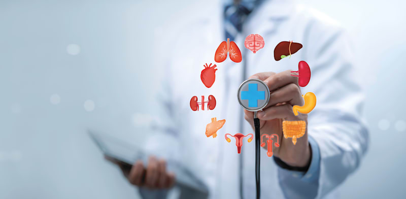 / צילום: טרציה: Shutterstock"