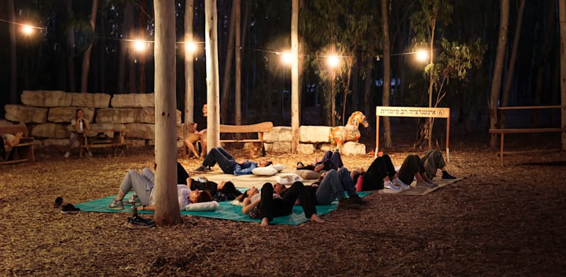 "יער האפשרויות / צילום: אנה בורשטיין"