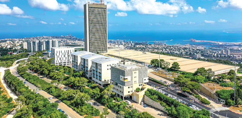 "אוניברסיטת חיפה / צילום: באדיבות אוניברסיטת חיפה"