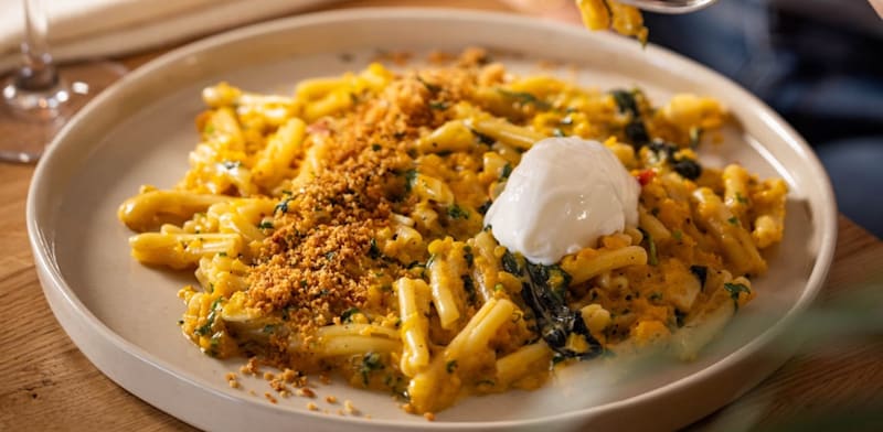 "''דלעת השטן'' / צילום: דניאל לילה"