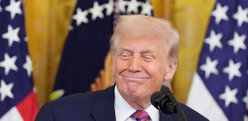 "נשיא ארה''ב, דונלד טראמפ / צילום: ap, Alex Brandon"