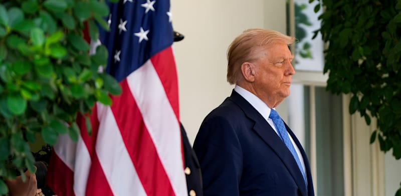 "דונלד טראמפ, נשיא ארה''ב / צילום: ap, Julia Demaree Nikhinson"