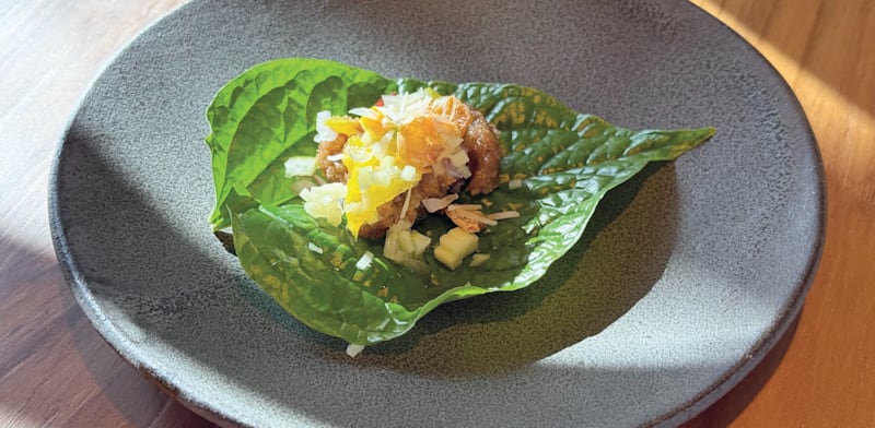 "מיאנג קאם / צילום: אייל H"