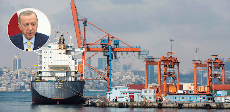 "המתקפה הכלכלית נגד ישראל / צילום: Shutterstock, AP - Achmad Ibrahim"