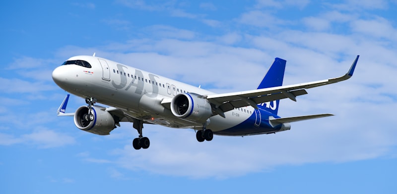 "מטוס של חברת התעופה SAS / צילום: Shutterstock, א.ס.א.פ קריאייטיב"